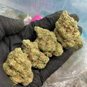 Acheter White Widow avec Livraison Rapide en France