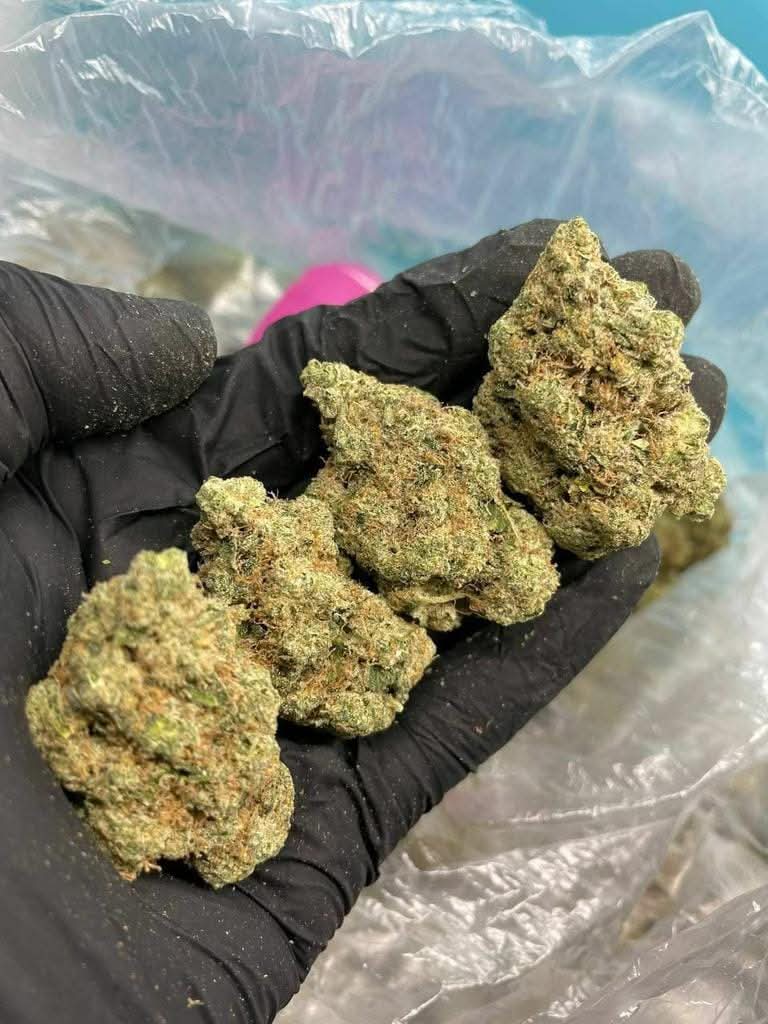 8f7745de-70c5-4cd5-bf65-3b2b86125277.jpg Acheter White Widow avec Livraison Rapide en France