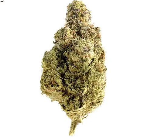 og-kush.jpg Gelato 33 Fleur Premium Livraison Discrète